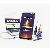 Vivo Info Tool
